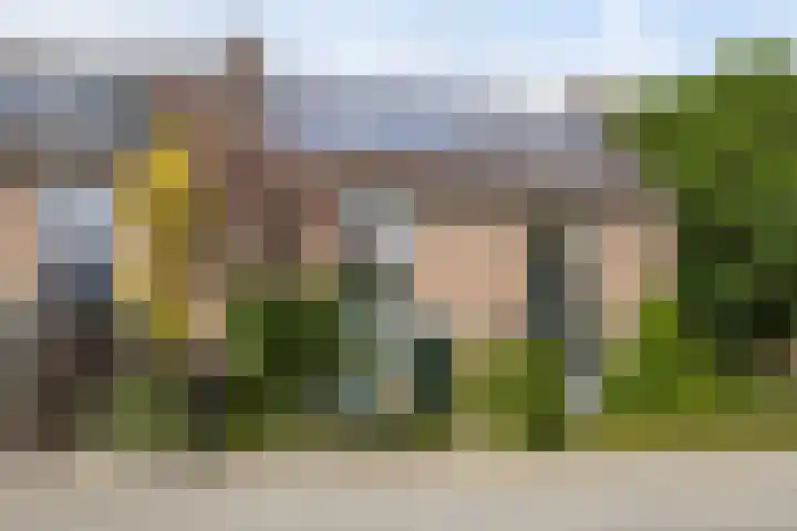 Heesterlaan 12 Haren Gn thumbnail 5