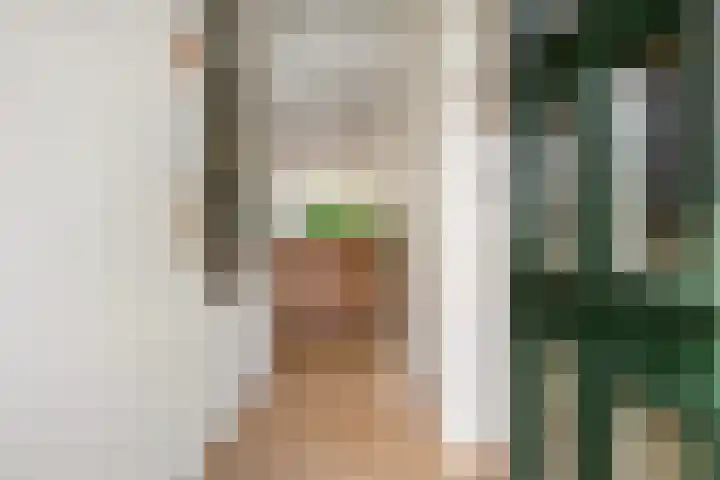 Heesterlaan 12 Haren Gn thumbnail 6