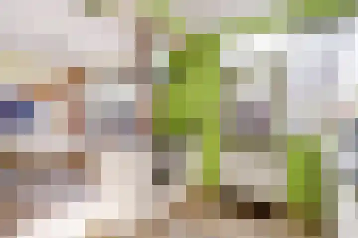 Heesterlaan 27 Gouda thumbnail 12