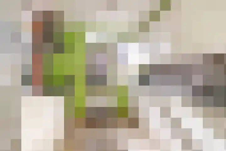 Heesterlaan 27 Gouda thumbnail 13