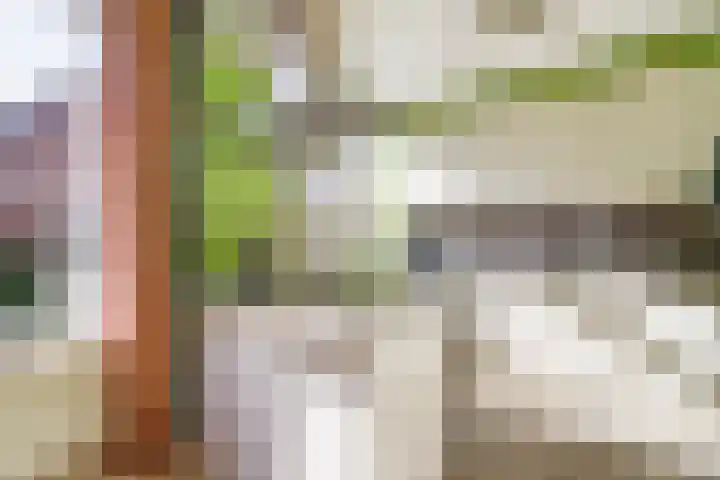 Heesterlaan 27 Gouda thumbnail 15