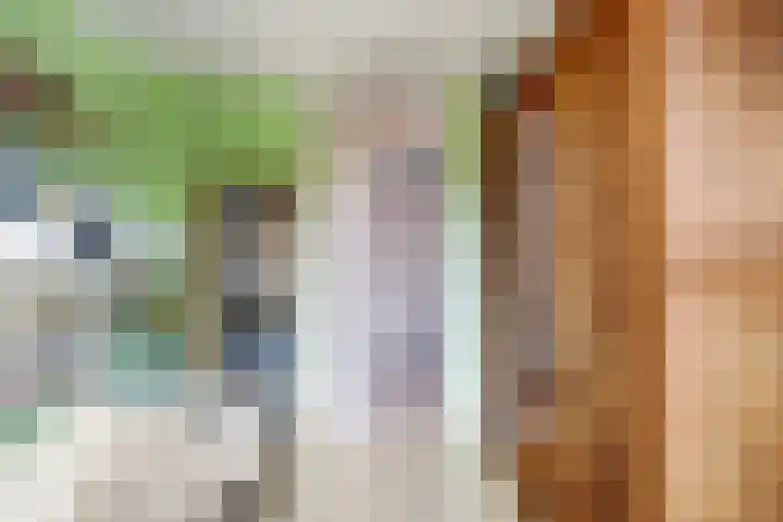 Heesterlaan 27 Gouda thumbnail 20
