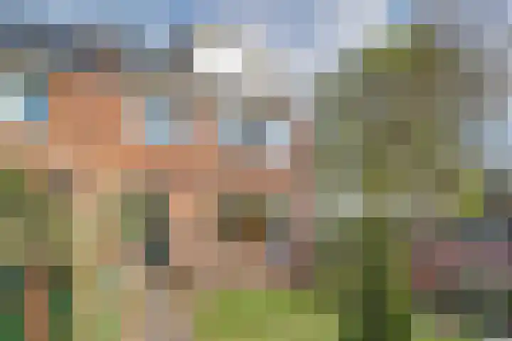 Heesterlaan 27 Gouda thumbnail 35