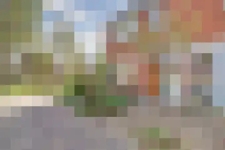 Heesterlaan 27 Gouda thumbnail 38