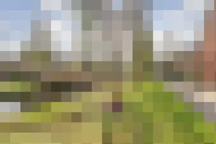 Heesterlaan 27 Gouda thumbnail 41