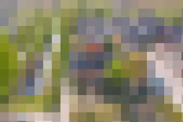 Heesterlaan 27 Gouda thumbnail 43