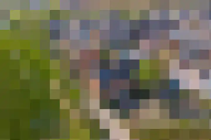 Heesterlaan 27 Gouda thumbnail 44