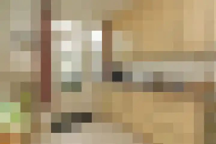 Heesterlaan 3 Gouda thumbnail 11