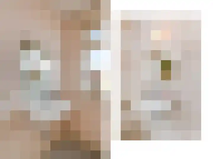 Heesterlaan 3 Gouda thumbnail 25