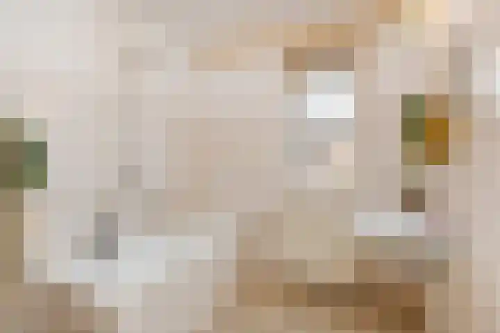 Heesterlaan 3 Gouda thumbnail 26