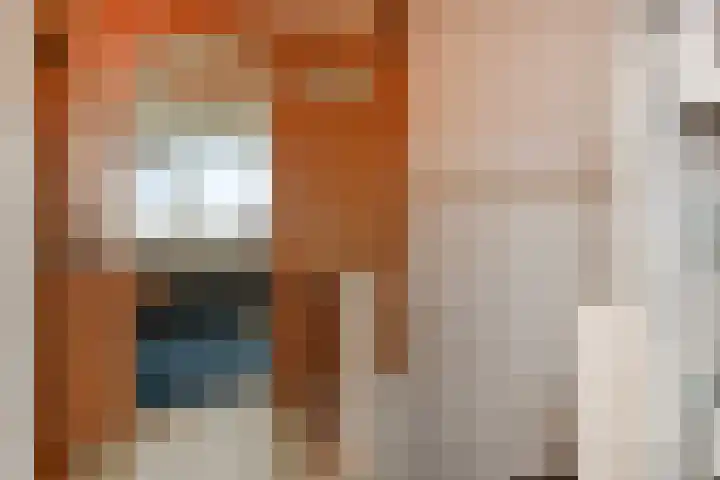 Heesterlaan 3 Gouda thumbnail 27
