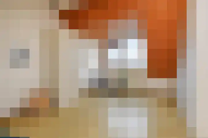 Heesterlaan 3 Gouda thumbnail 30