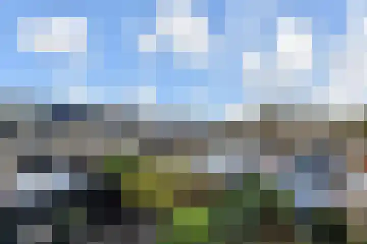 Heesterlaan 3 Gouda thumbnail 31