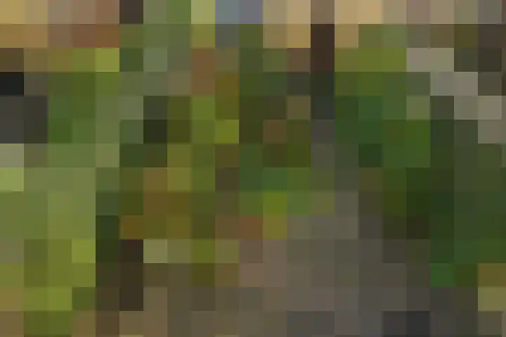 Heesterlaan 3 Gouda thumbnail 32