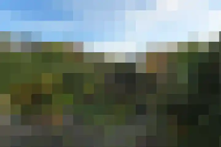 Heesterlaan 3 Gouda thumbnail 33