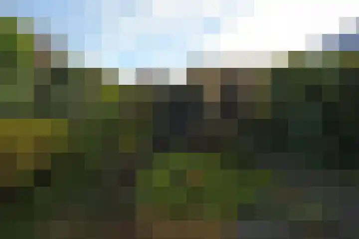 Heesterlaan 3 Gouda thumbnail 34