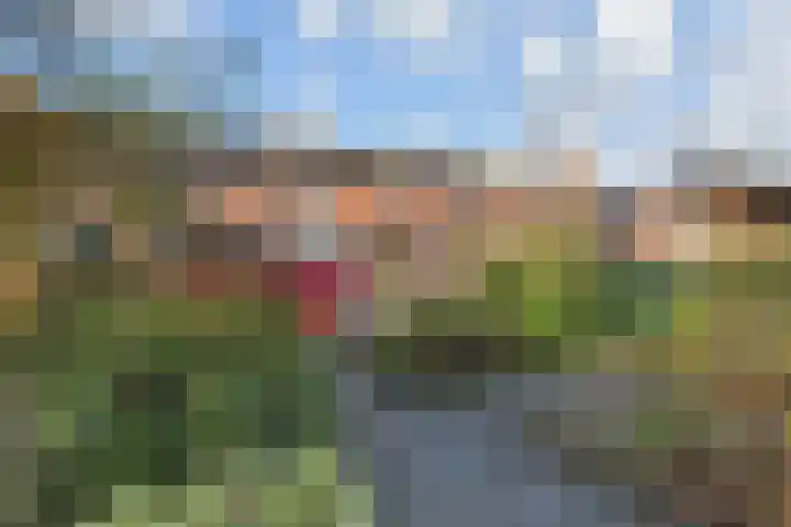 Heesterlaan 3 Gouda thumbnail 39