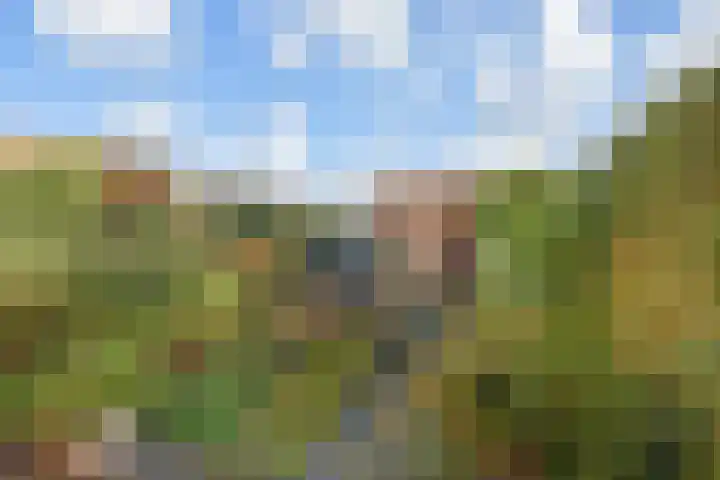 Heesterlaan 3 Gouda thumbnail 4
