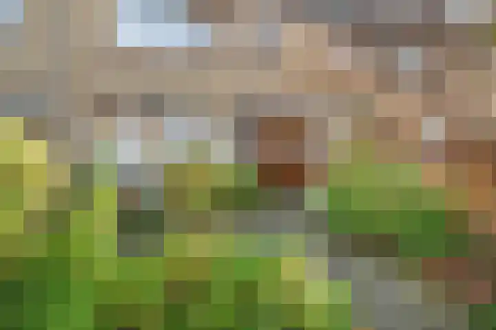 Heesterlaan 3 Gouda thumbnail 5