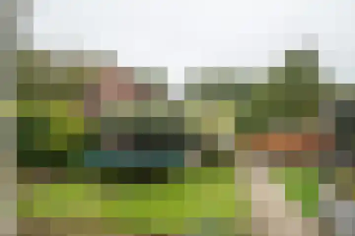 Heesterlaan 5 Haren Gn thumbnail 10