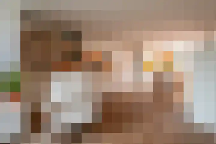Heesterlaan 5 Haren Gn thumbnail 20