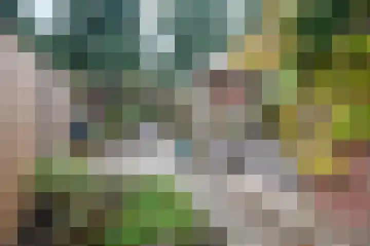 Heesterlaan 5 Haren Gn thumbnail 42