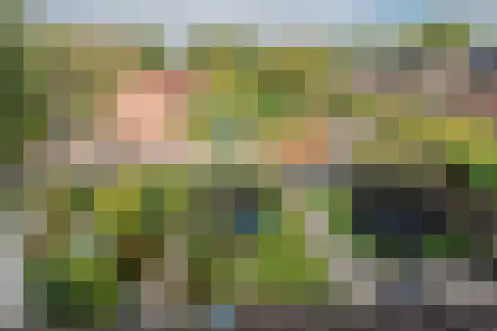 Heesterlaan 5 Haren Gn thumbnail 7