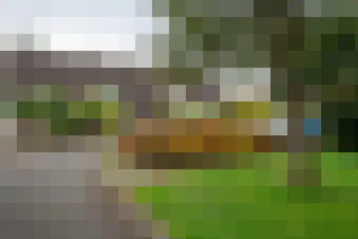 Heesterlaan 5 Haren Gn thumbnail 8