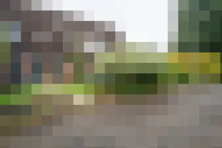 Heesterlaan 5 Haren Gn thumbnail 9
