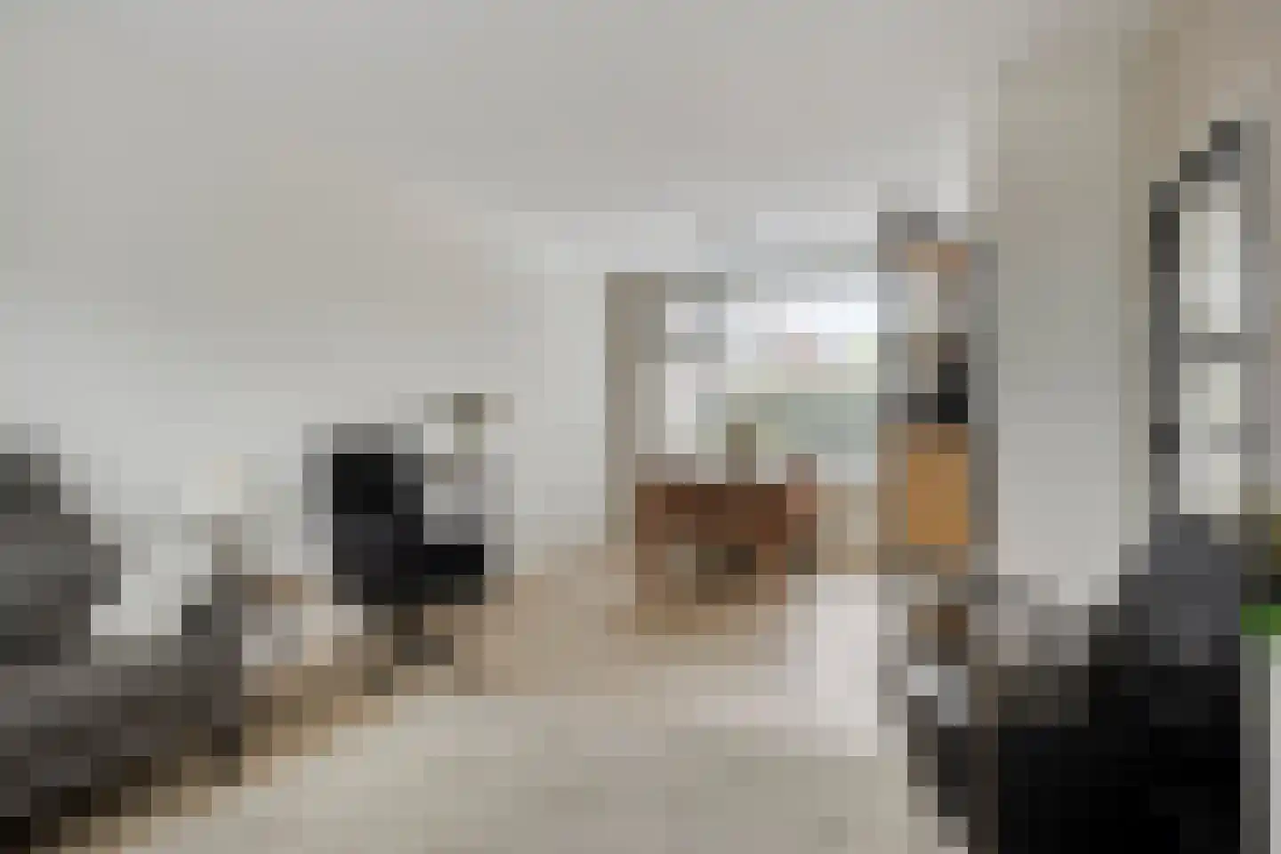 Heesterlaan 55 Gouda thumbnail 13