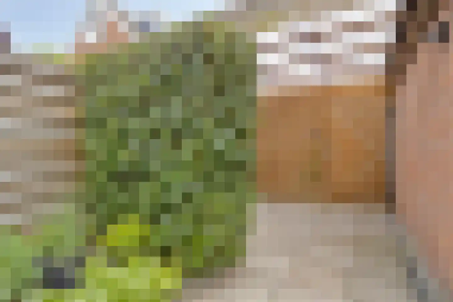 Heesterlaan 55 Gouda thumbnail 35