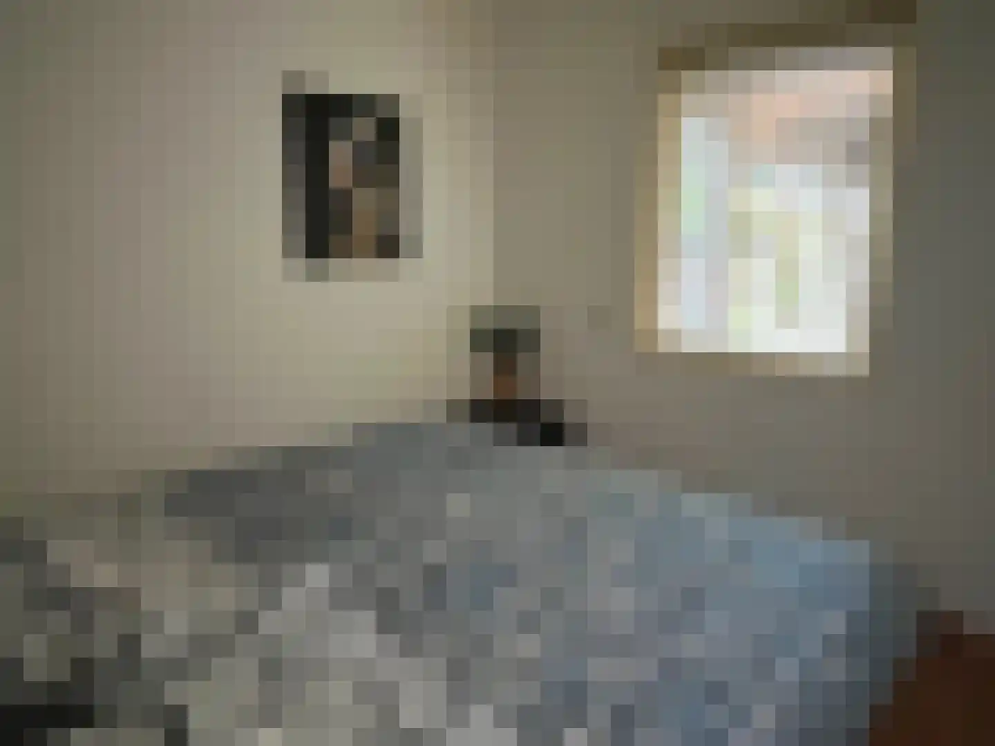Heesterlustweg 7 Noordgouwe thumbnail 10