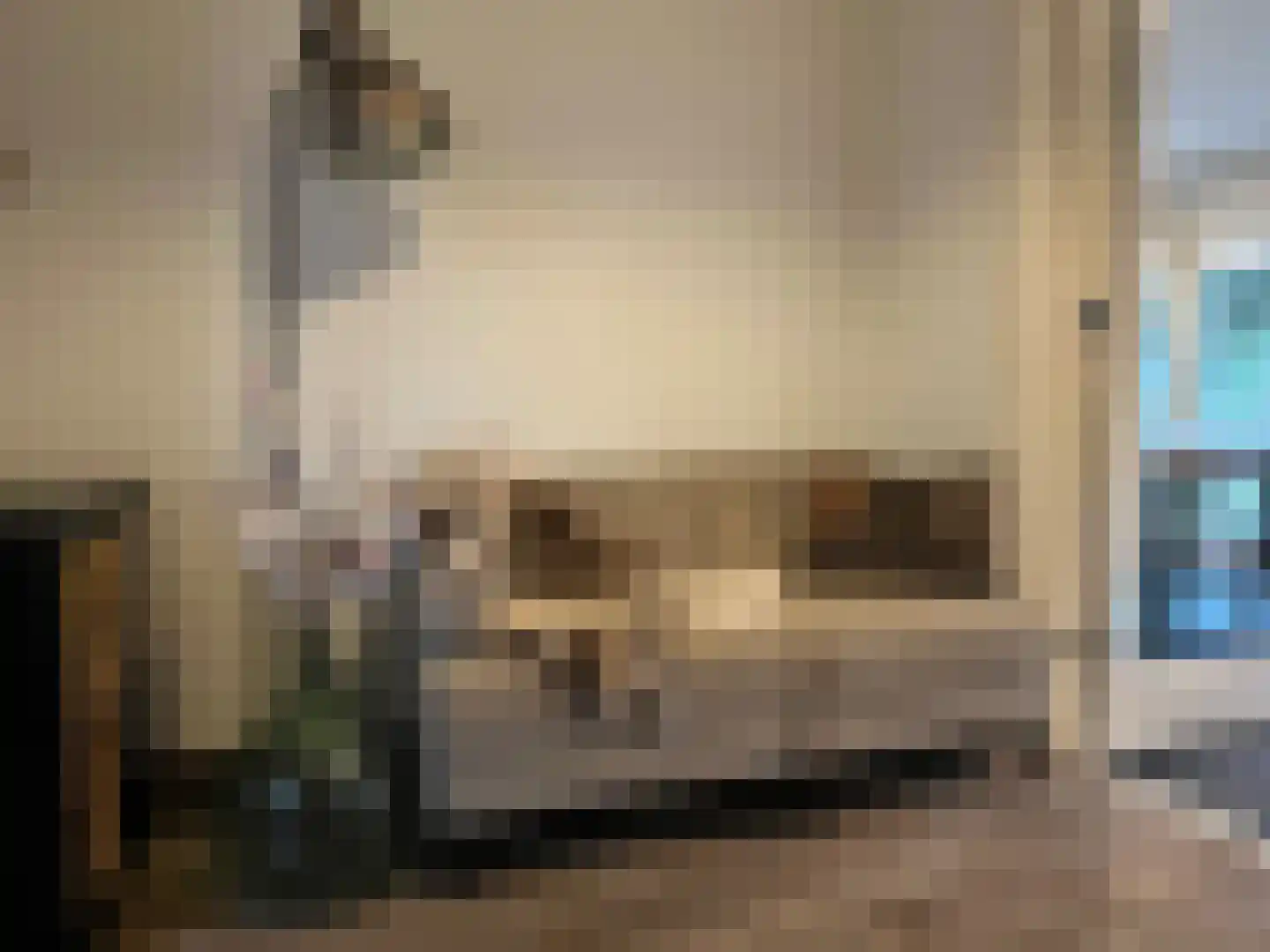 Heesterlustweg 7 Noordgouwe thumbnail 11