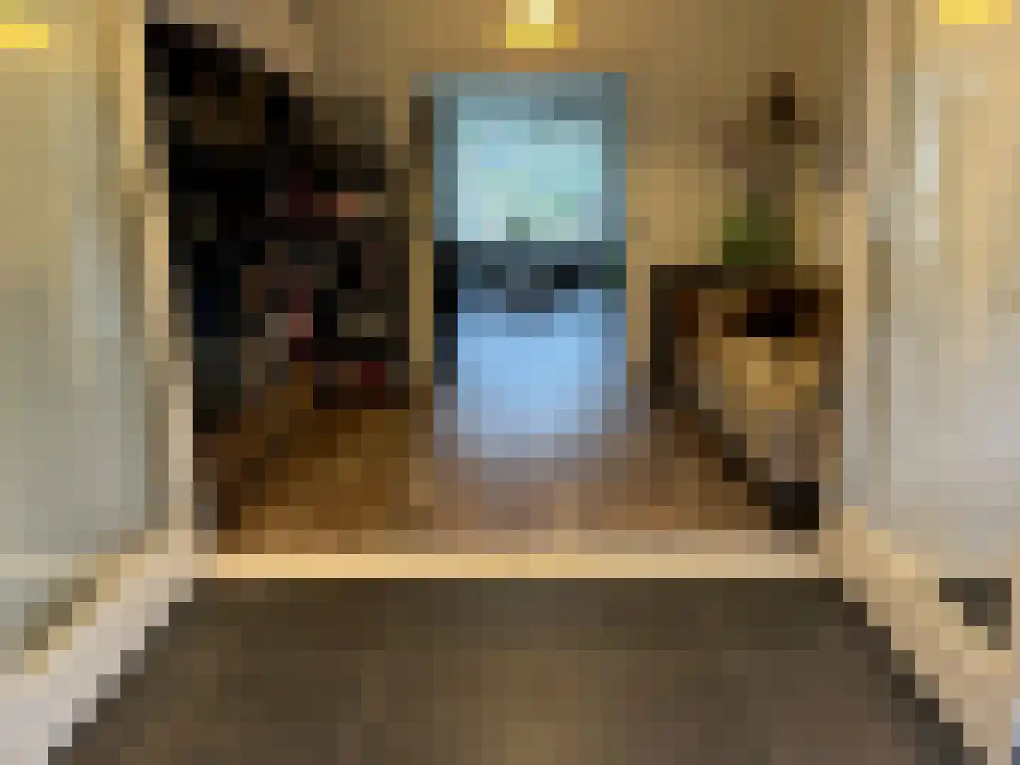 Heesterlustweg 7 Noordgouwe thumbnail 12