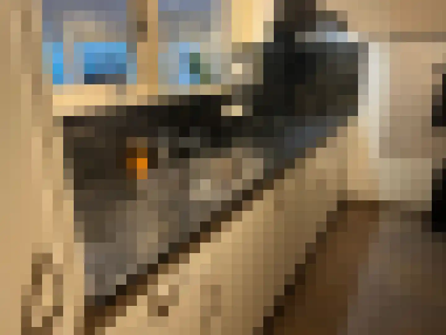 Heesterlustweg 7 Noordgouwe thumbnail 13