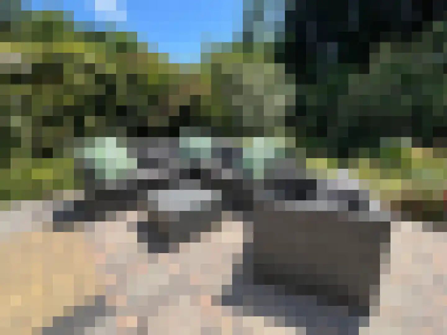 Heesterlustweg 7 Noordgouwe thumbnail 17