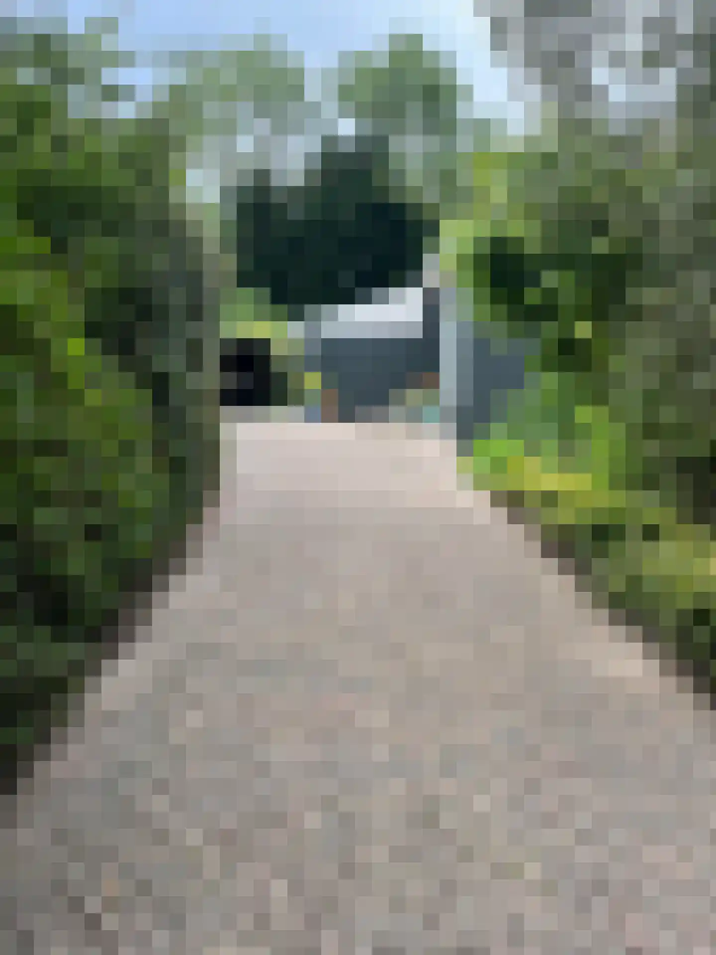 Heesterlustweg 7 Noordgouwe foto 2
