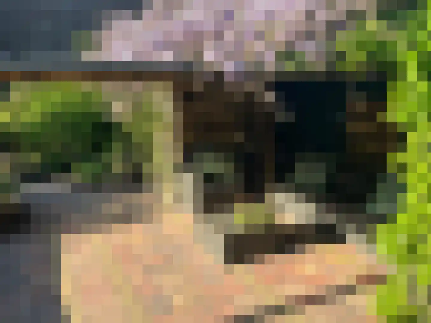 Heesterlustweg 7 Noordgouwe thumbnail 20