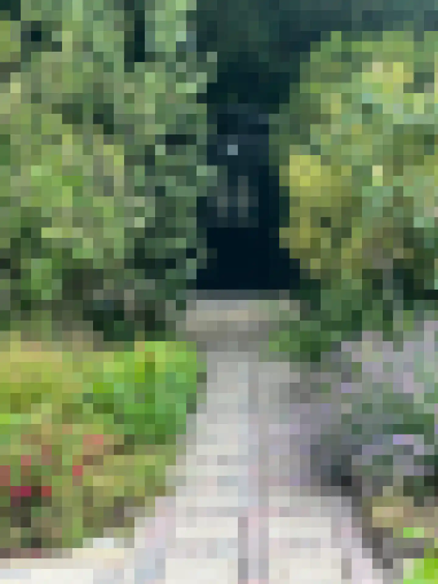 Heesterlustweg 7 Noordgouwe thumbnail 22