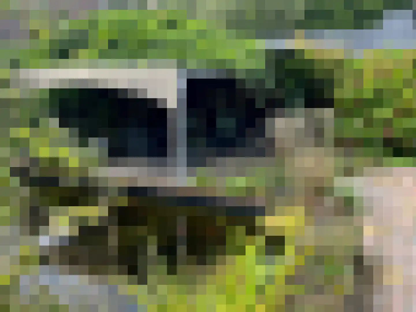 Heesterlustweg 7 Noordgouwe thumbnail 22
