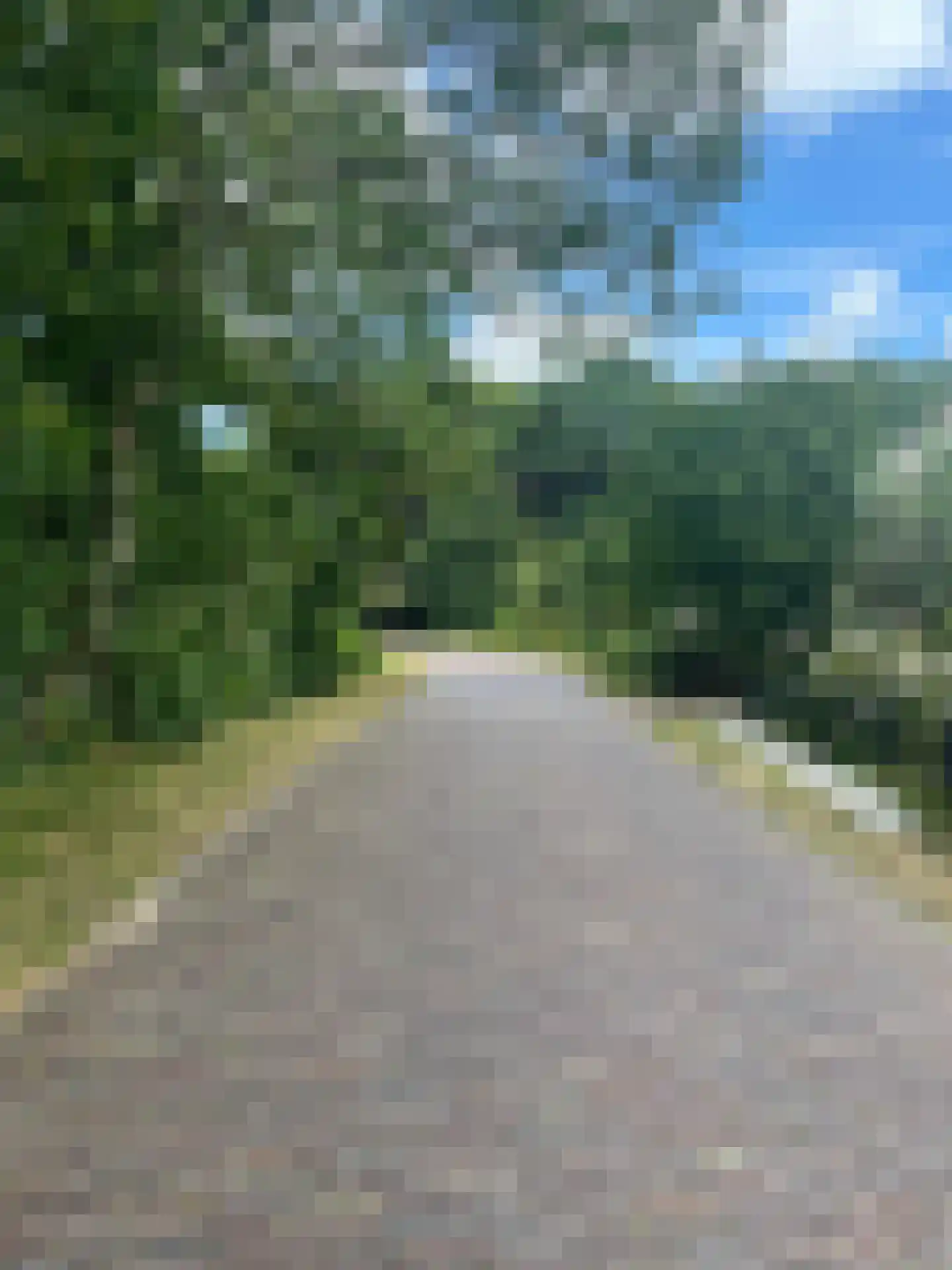 Heesterlustweg 7 Noordgouwe thumbnail 23