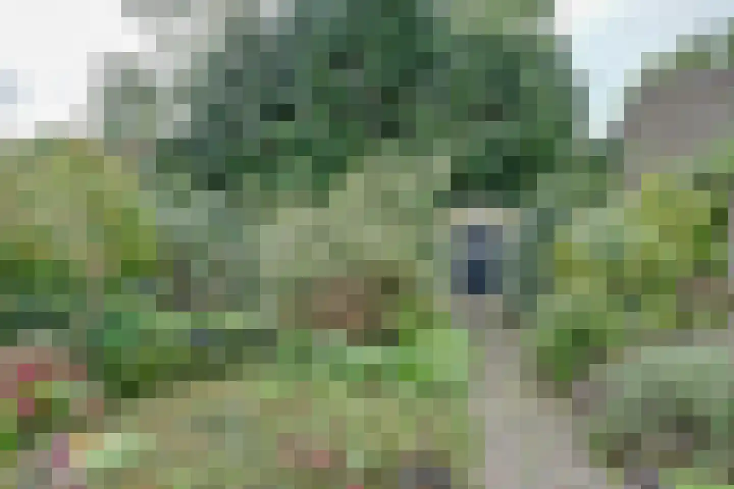 Heesterlustweg 7 Noordgouwe thumbnail 23