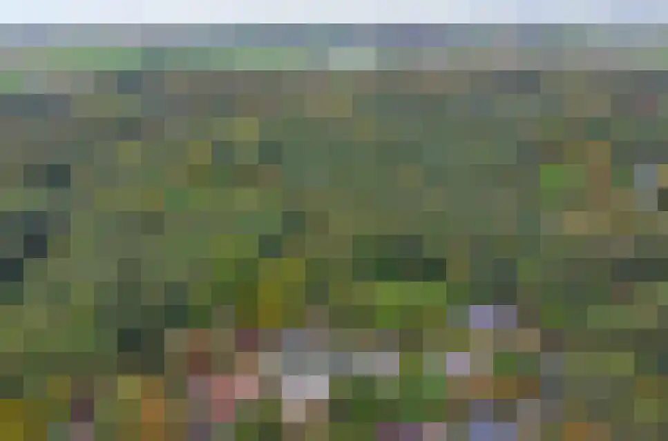 Heesterlustweg 7 Noordgouwe thumbnail 24