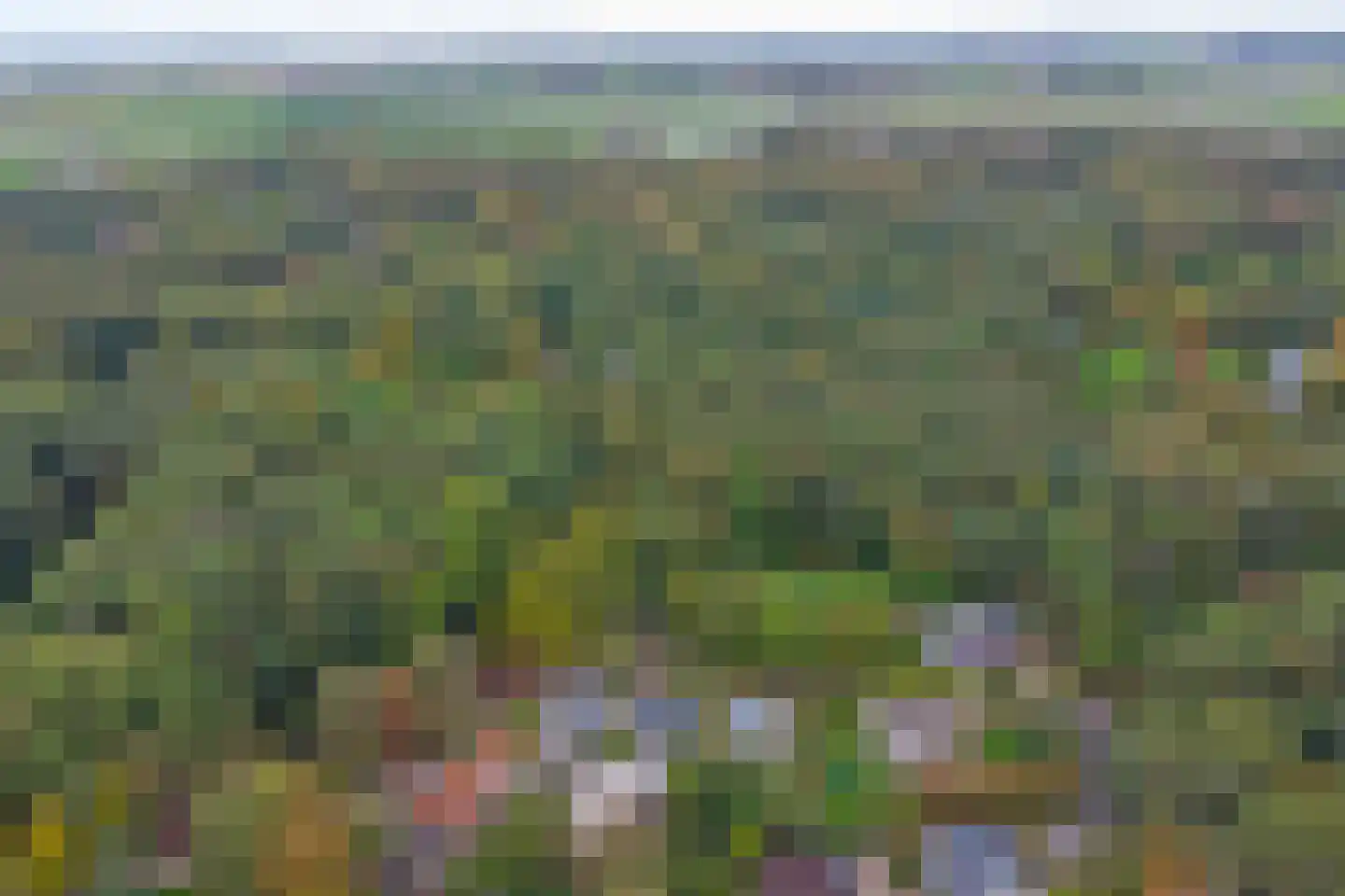Heesterlustweg 7 Noordgouwe thumbnail 27