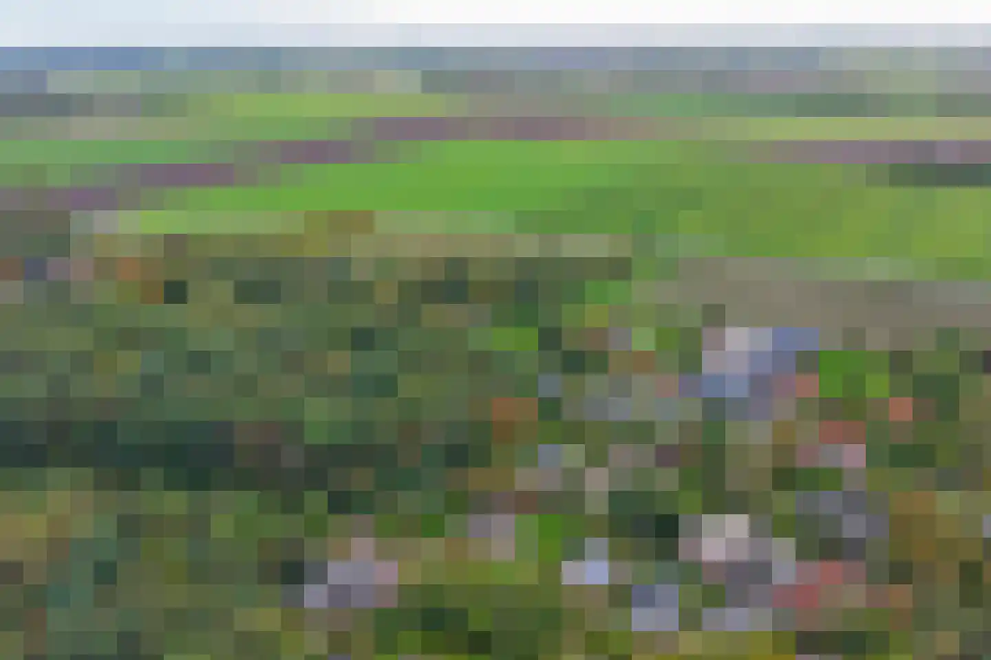 Heesterlustweg 7 Noordgouwe thumbnail 29