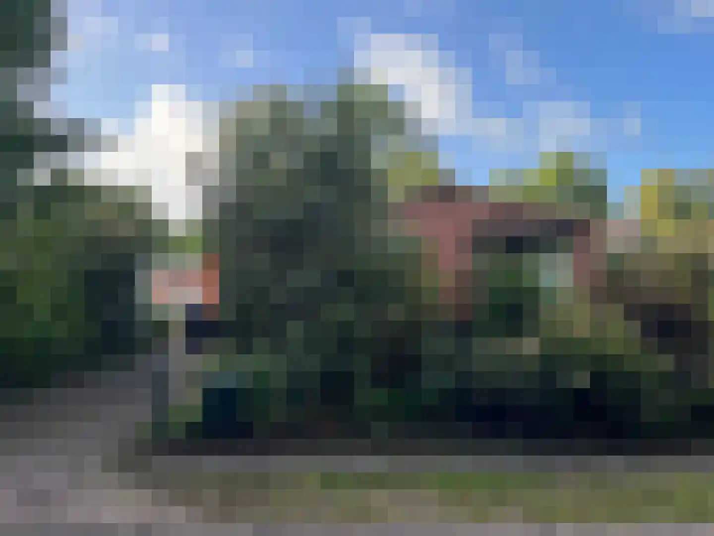Heesterlustweg 7 Noordgouwe foto 3