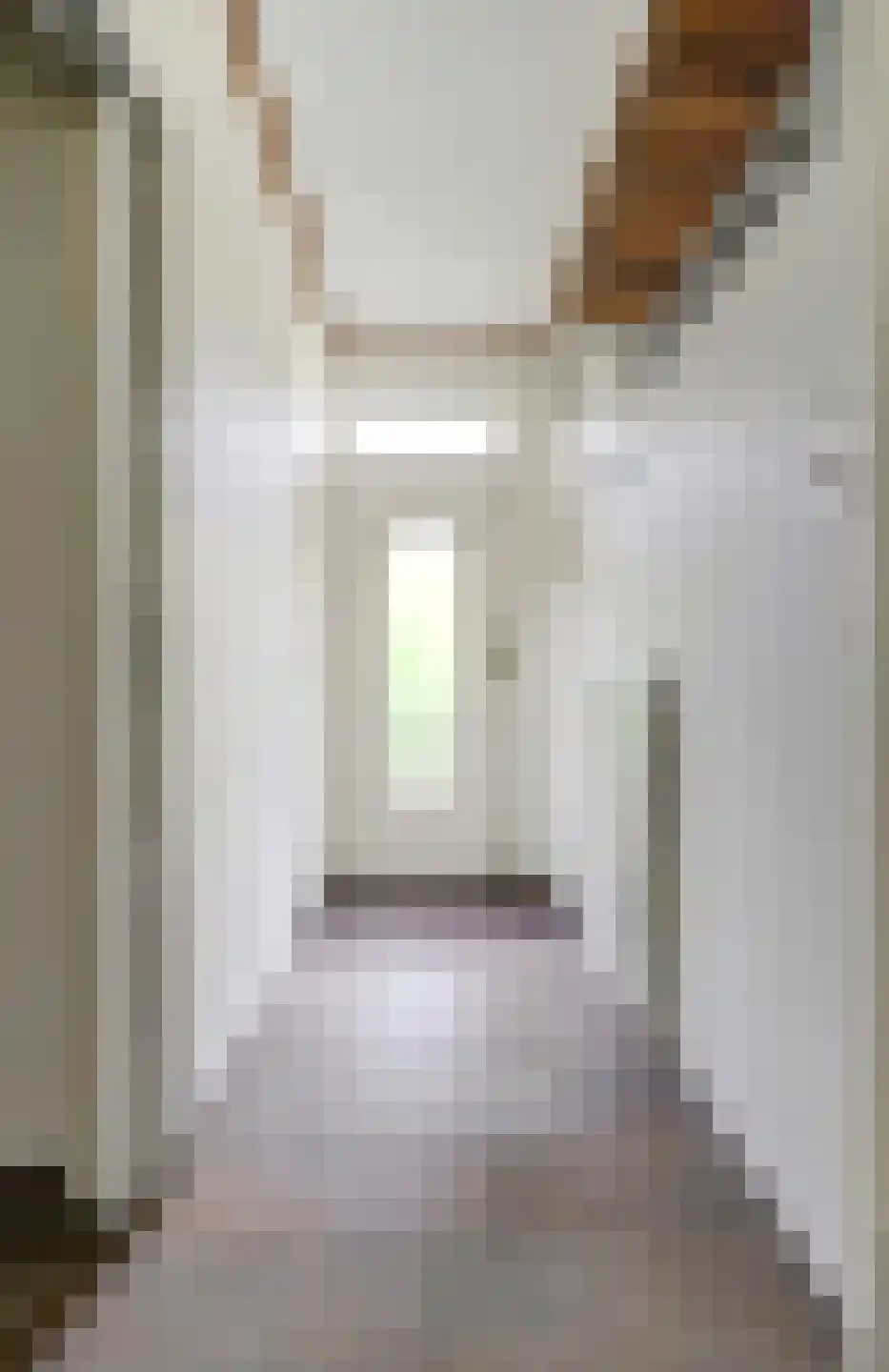 Heesterlustweg 7 Noordgouwe thumbnail 6