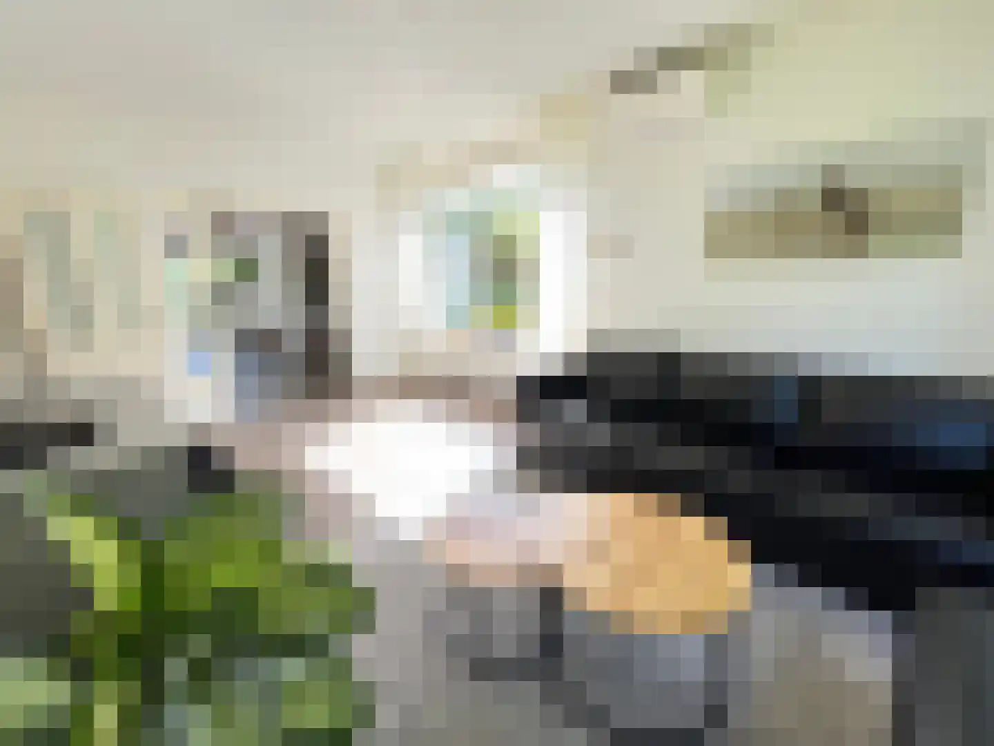 Heesterlustweg 7 Noordgouwe thumbnail 7