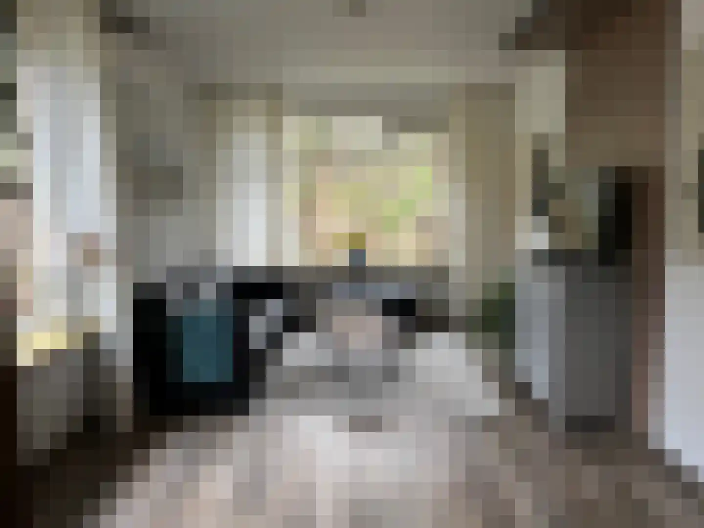 Heesterlustweg 7 Noordgouwe thumbnail 8