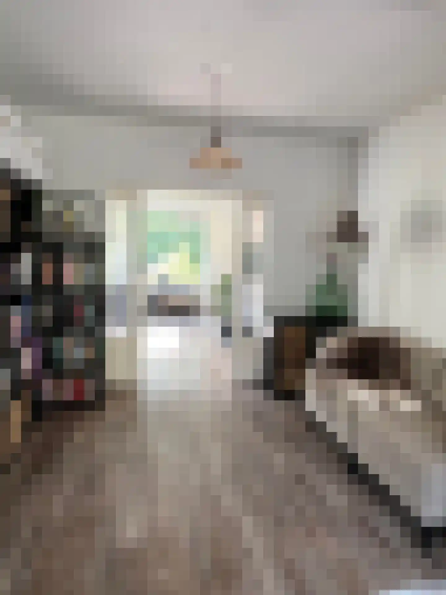 Heesterlustweg 7 Noordgouwe thumbnail 8